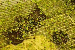 20240612_094632