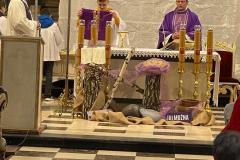PHOTO-2023-03-22-17-03-2014